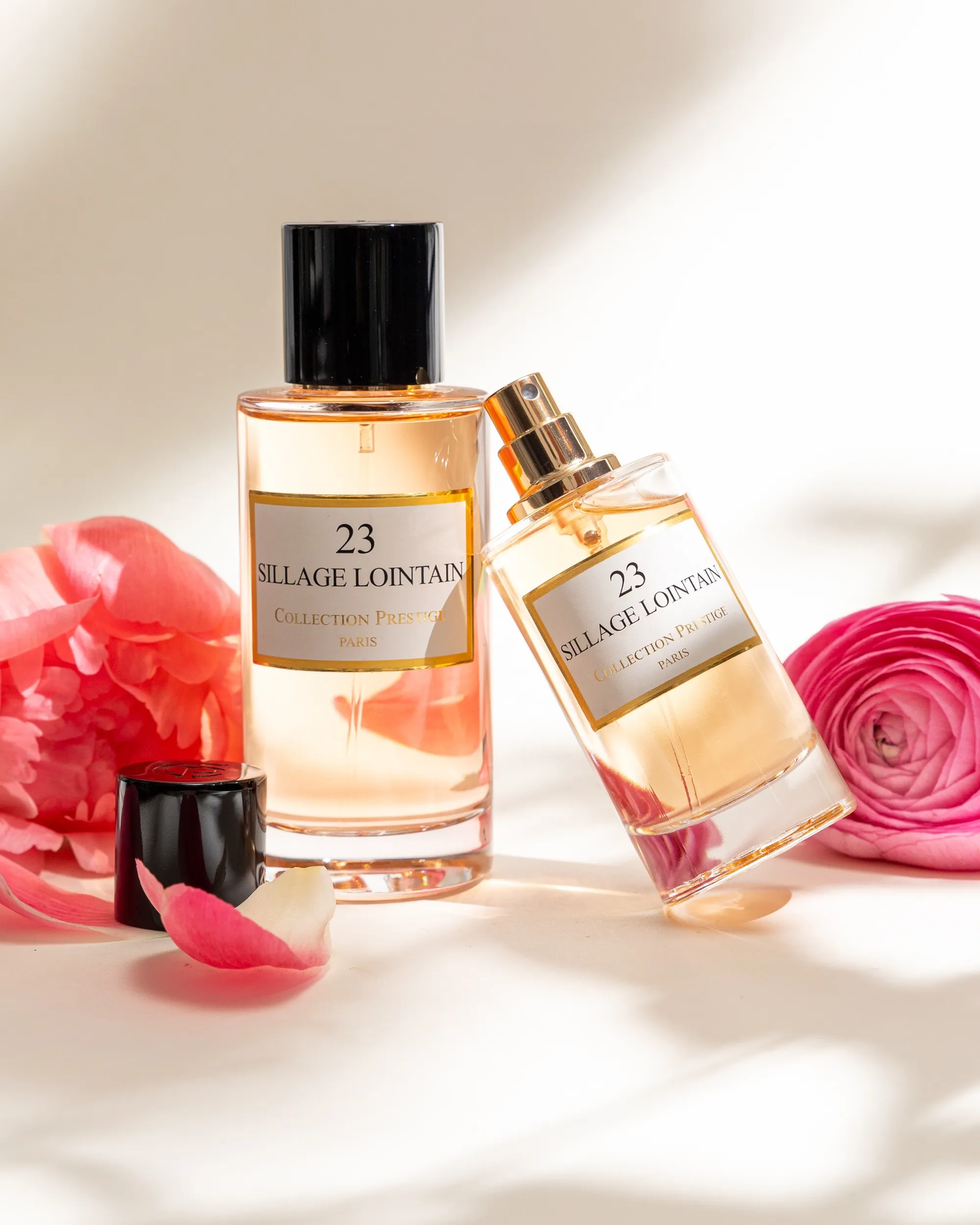 N°23 Sillage Lointain