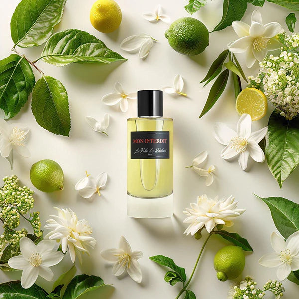 Mon Interdit - Irréversible