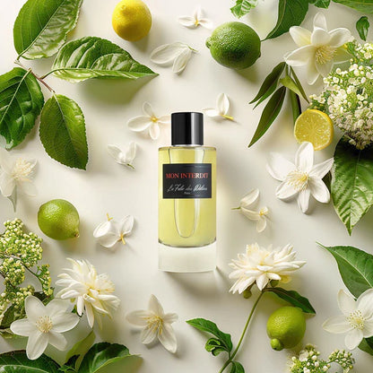 Mon Interdit - Irréversible